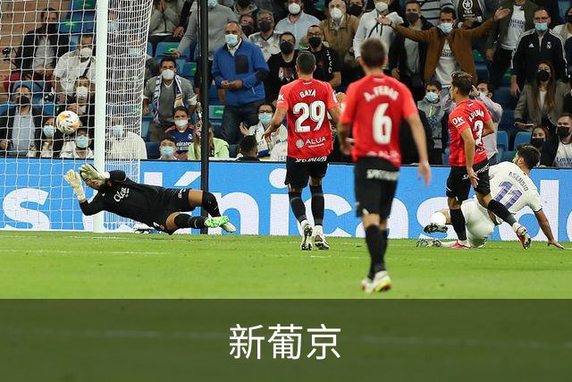 新葡京公司环境